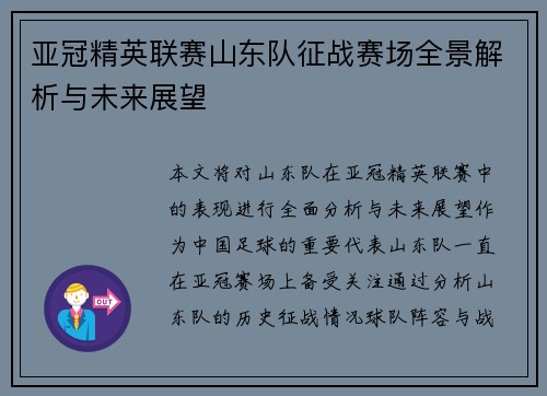 亚冠精英联赛山东队征战赛场全景解析与未来展望
