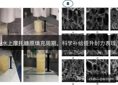 水上摩托糖原填充周期,科学补给提升耐力表现 水上摩托糖原填充周期,科学补给提升耐力表现